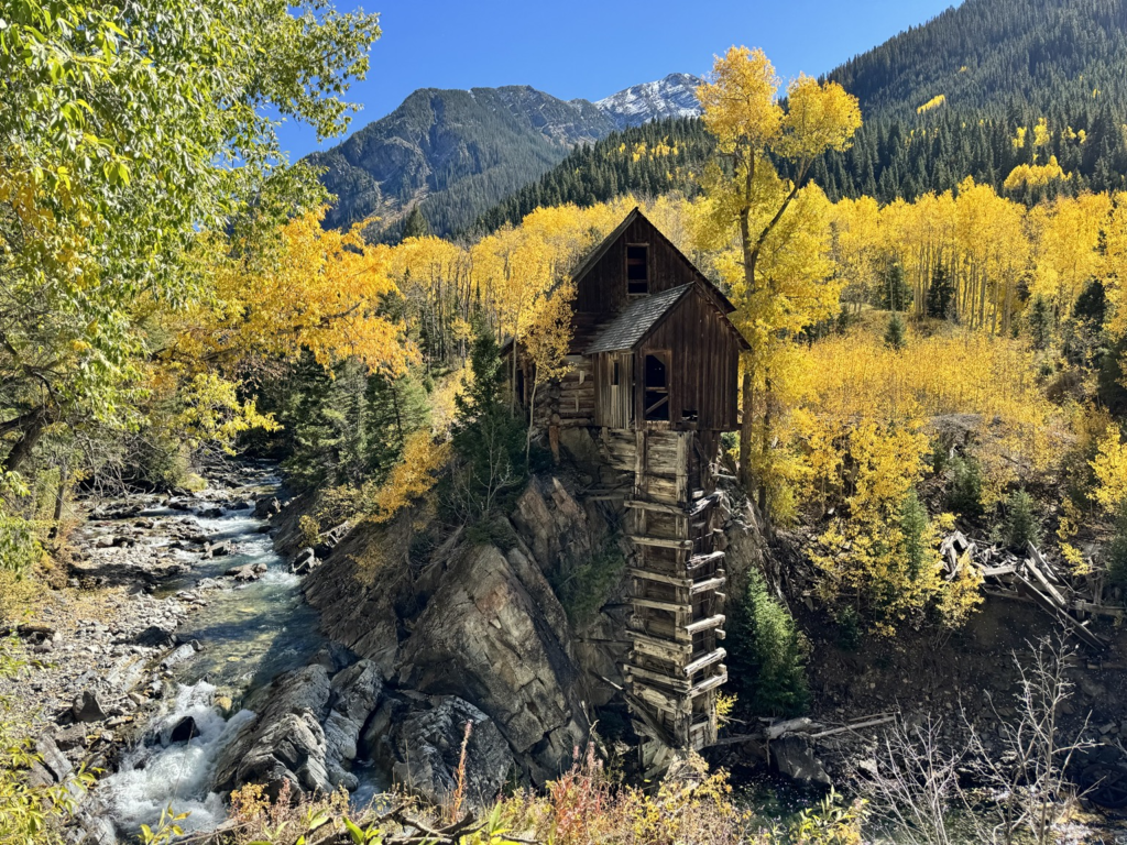 Aspen Fall Foliage With Three Kids
