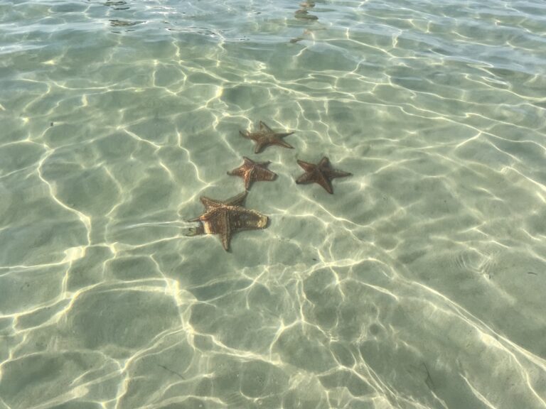 The Caribbean Island Made for Grandparents and Grandkids