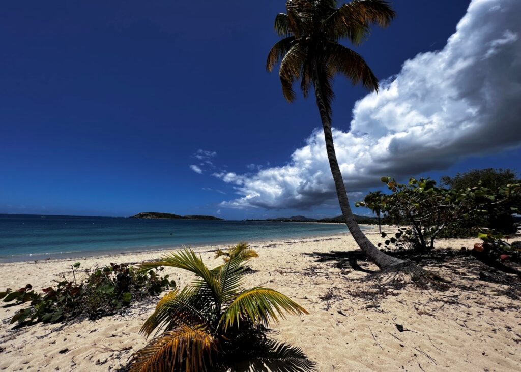 Most Families Miss This One Step Before Flying to Puerto Rico