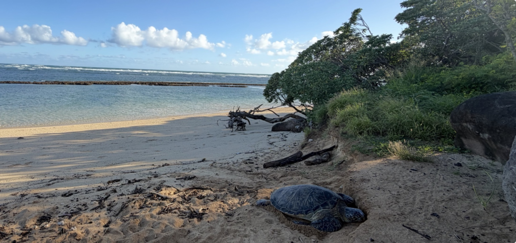 The Easy Way to Do Maui and Lanai With Kids and Grandparents
