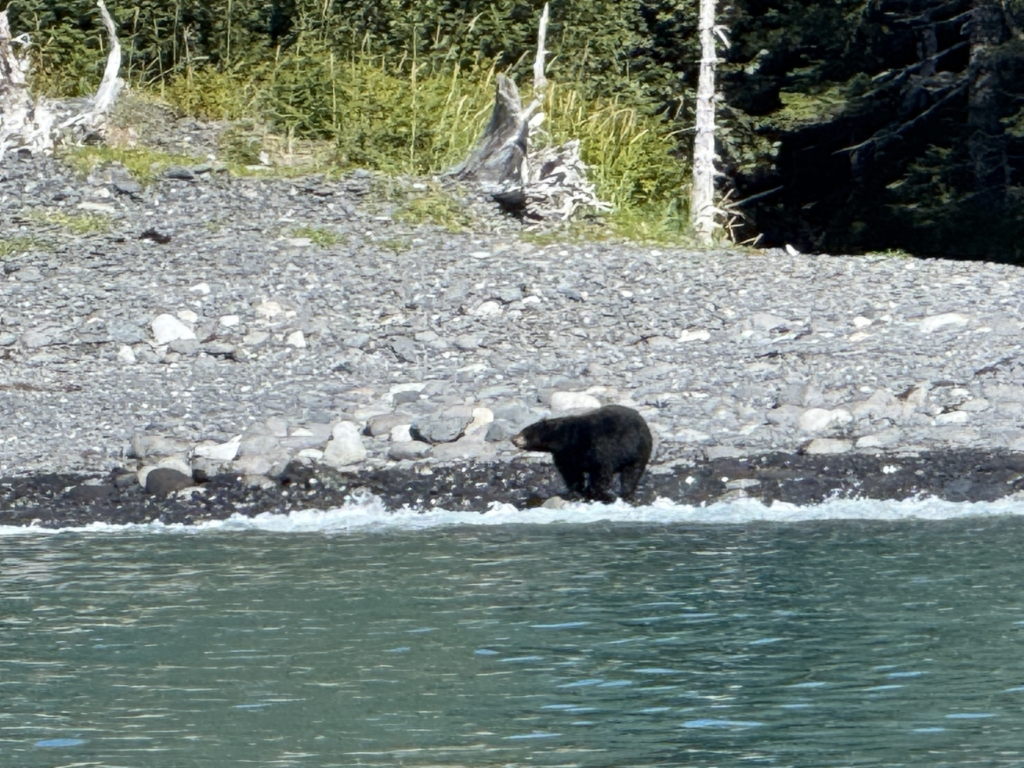 The Easy Way to Combine Los Angeles and Alaska With Kids